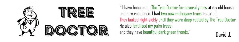 Tree Doctor Google Review from David J.