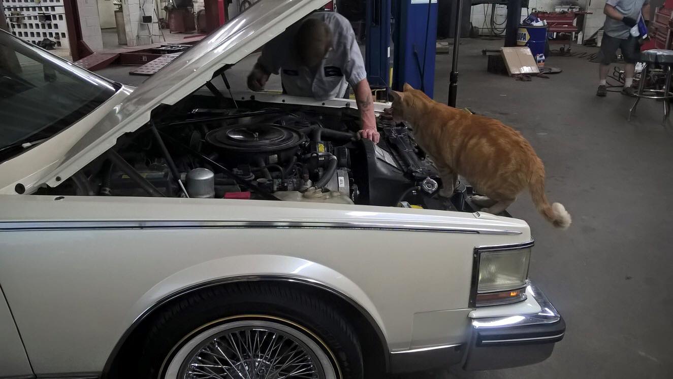 Jax at Jack's Tune Up & Alignment in Belton, MO