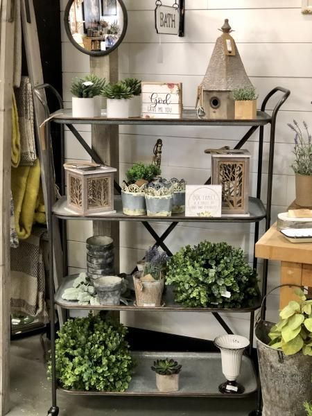 Rustic metal shelf with potted greenery and decorative lanterns in a cozy home corner