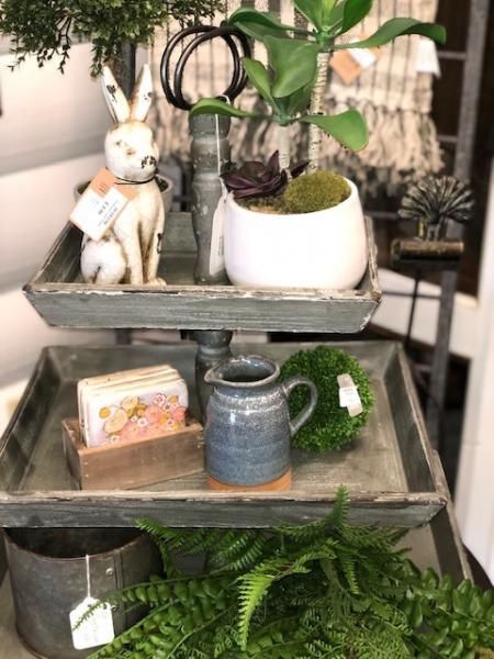Rustic shelf with potted plants, a small dog figurine, and decorative boxes and jars