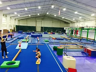 Indoor gymnastics gym with children on balance beams, mats, and obstacle equipment under bright lights