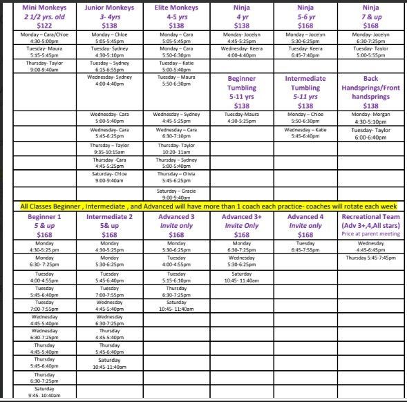Small blurry spreadsheet-style table with purple headers and black text, showing rows of names and notes.