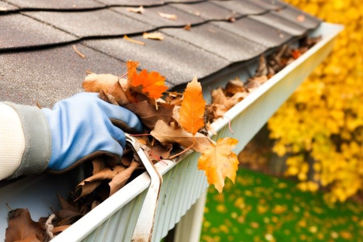 Gloved hand cleaning leaves from a roof gutter beside shingled roofing in autumn