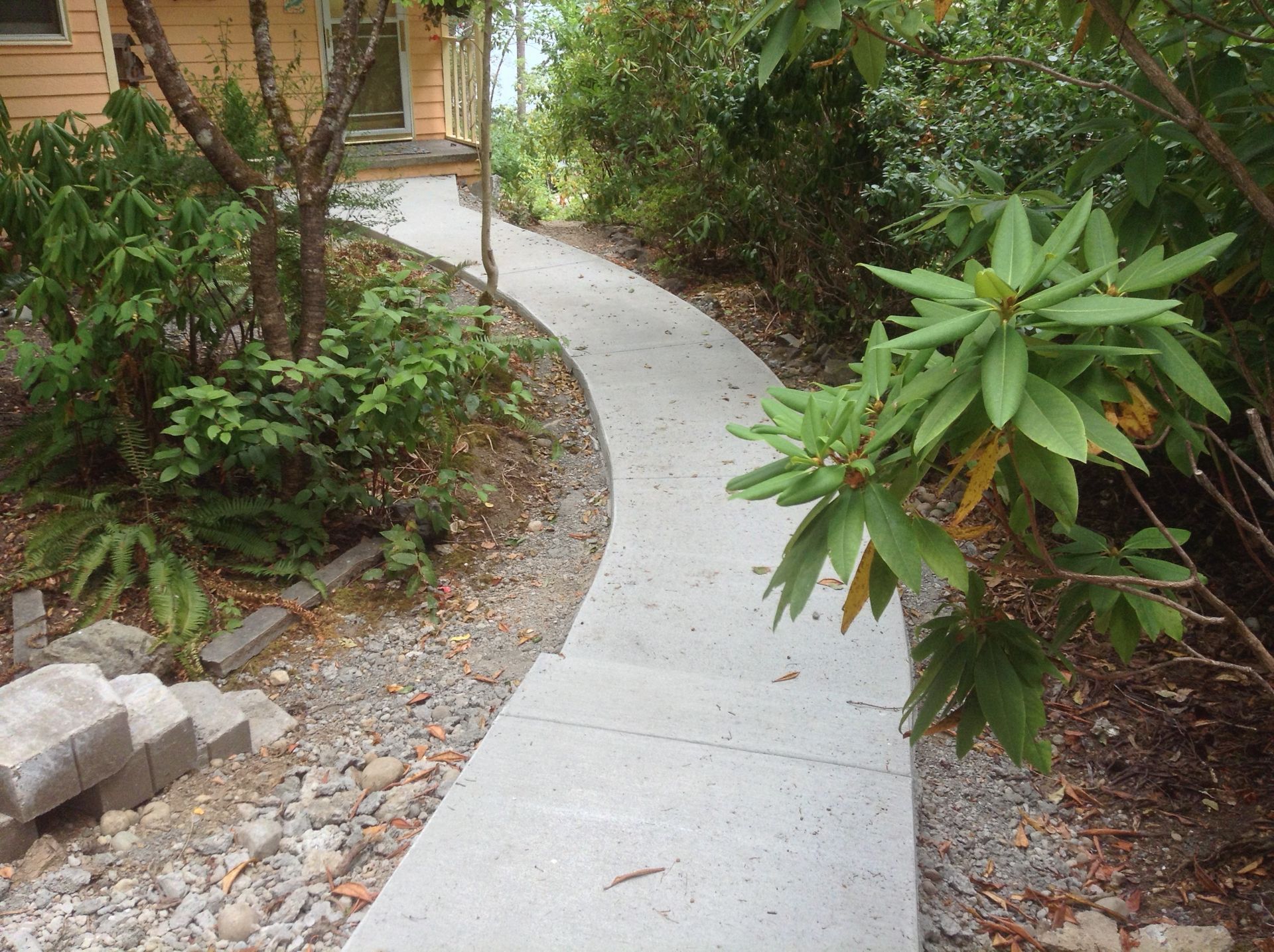 A concrete walkway leading to a house surrounded by trees