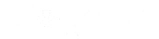 Blank white background with a thin light-gray horizontal line near the bottom.