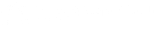 Trinity Web Logo