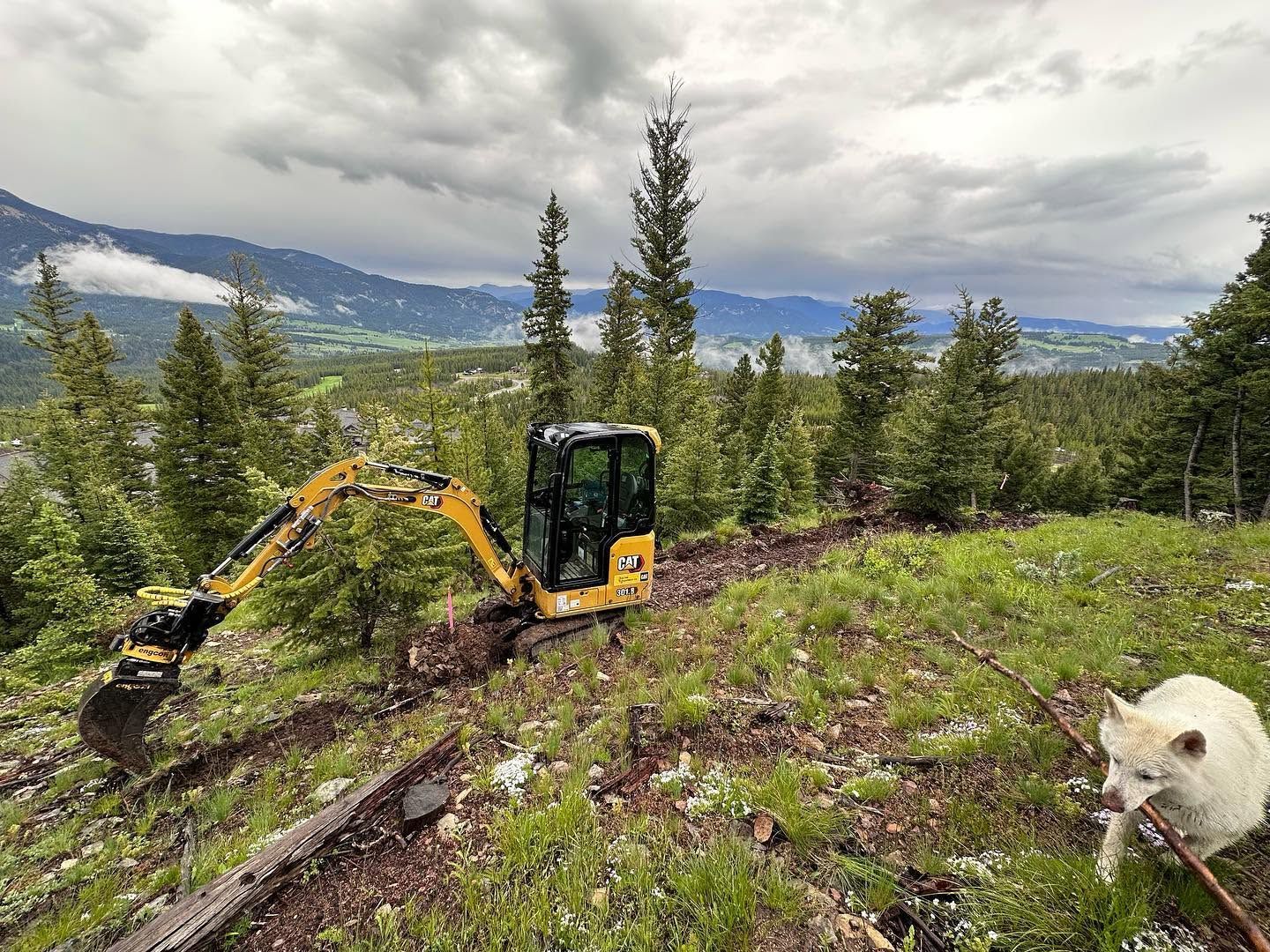 Yellow excavator digging on a grassy mountain slope with a dog at right, forest and cloudy peaks behind