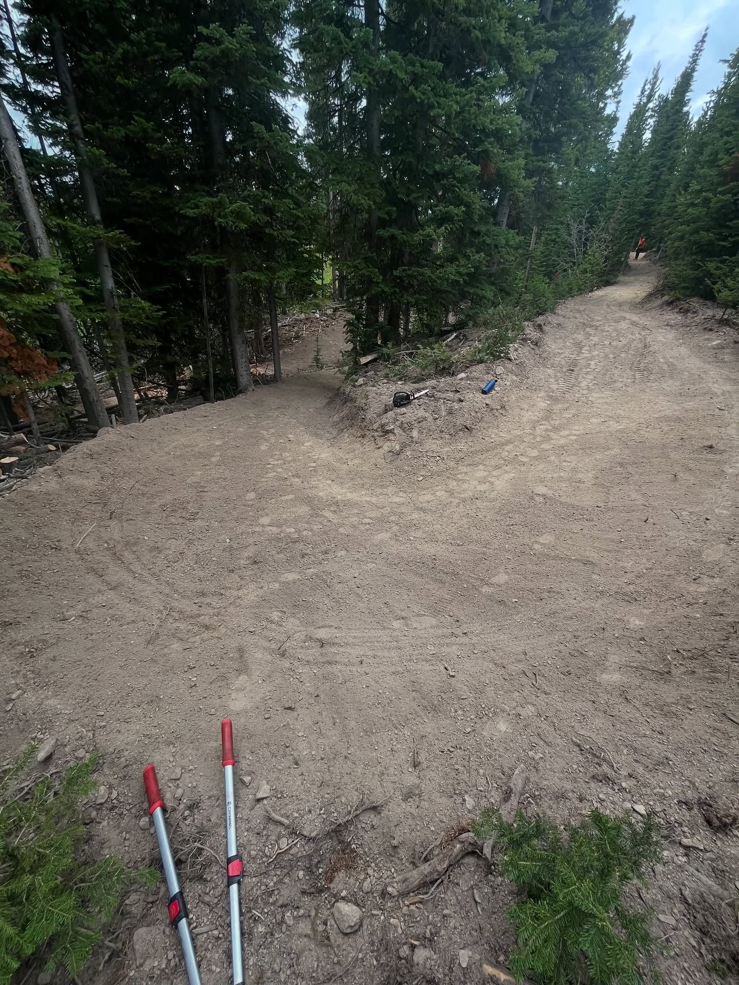 Dirt trail with a rocky slope in a pine forest, with red-and-white trail poles at the bottom.