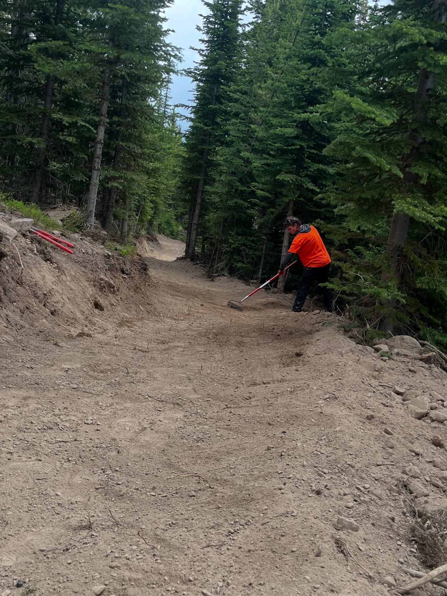 Mountain biker in orange jacket navigating a steep dirt trail in a forest
