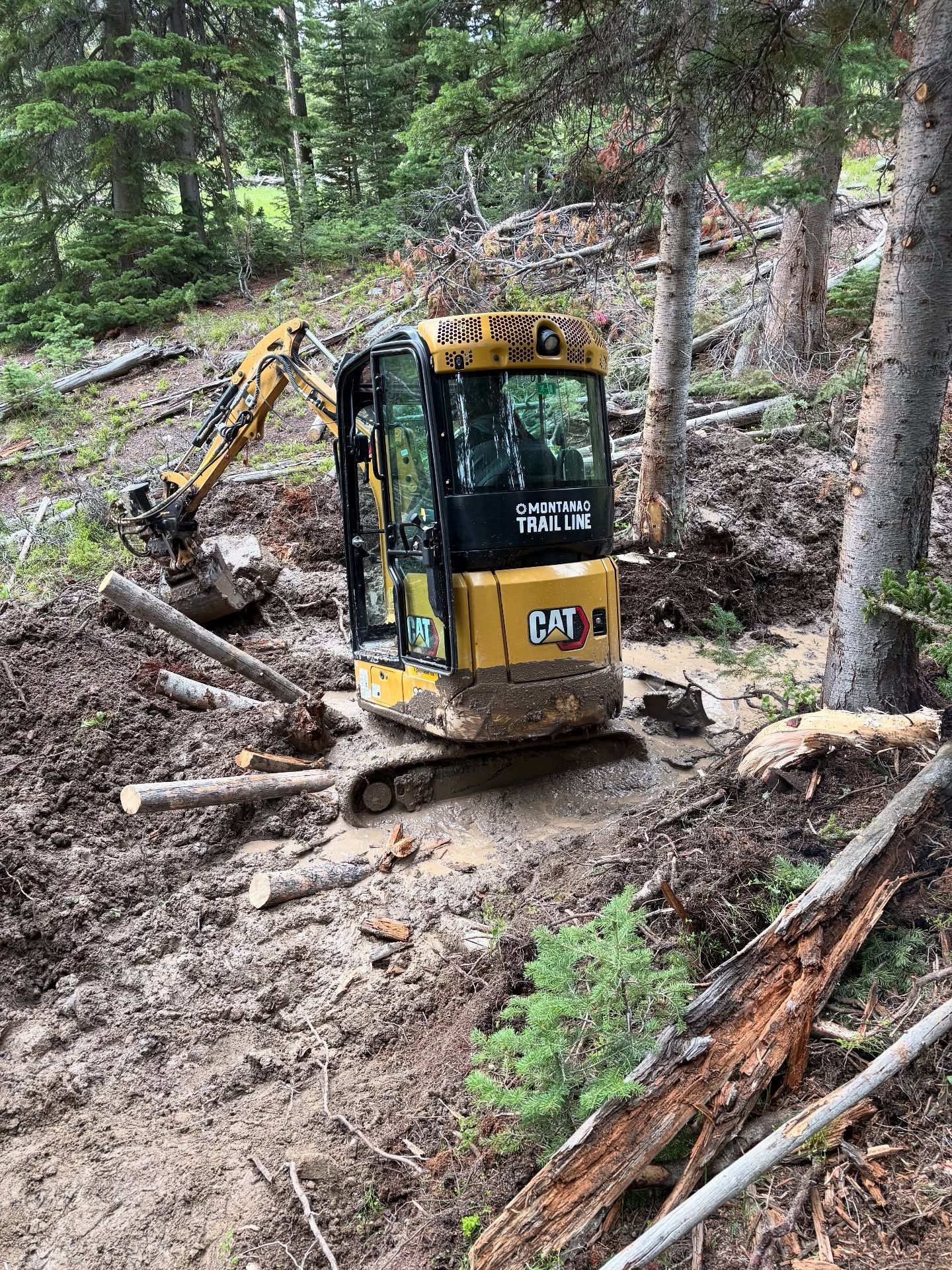 Yellow excavator digging on a muddy forest hillside with fallen trees and rocks