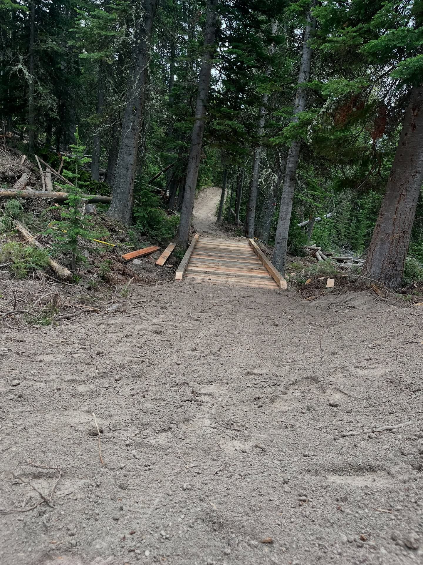Wooden footbridge leading into a dense forest over a sandy path
