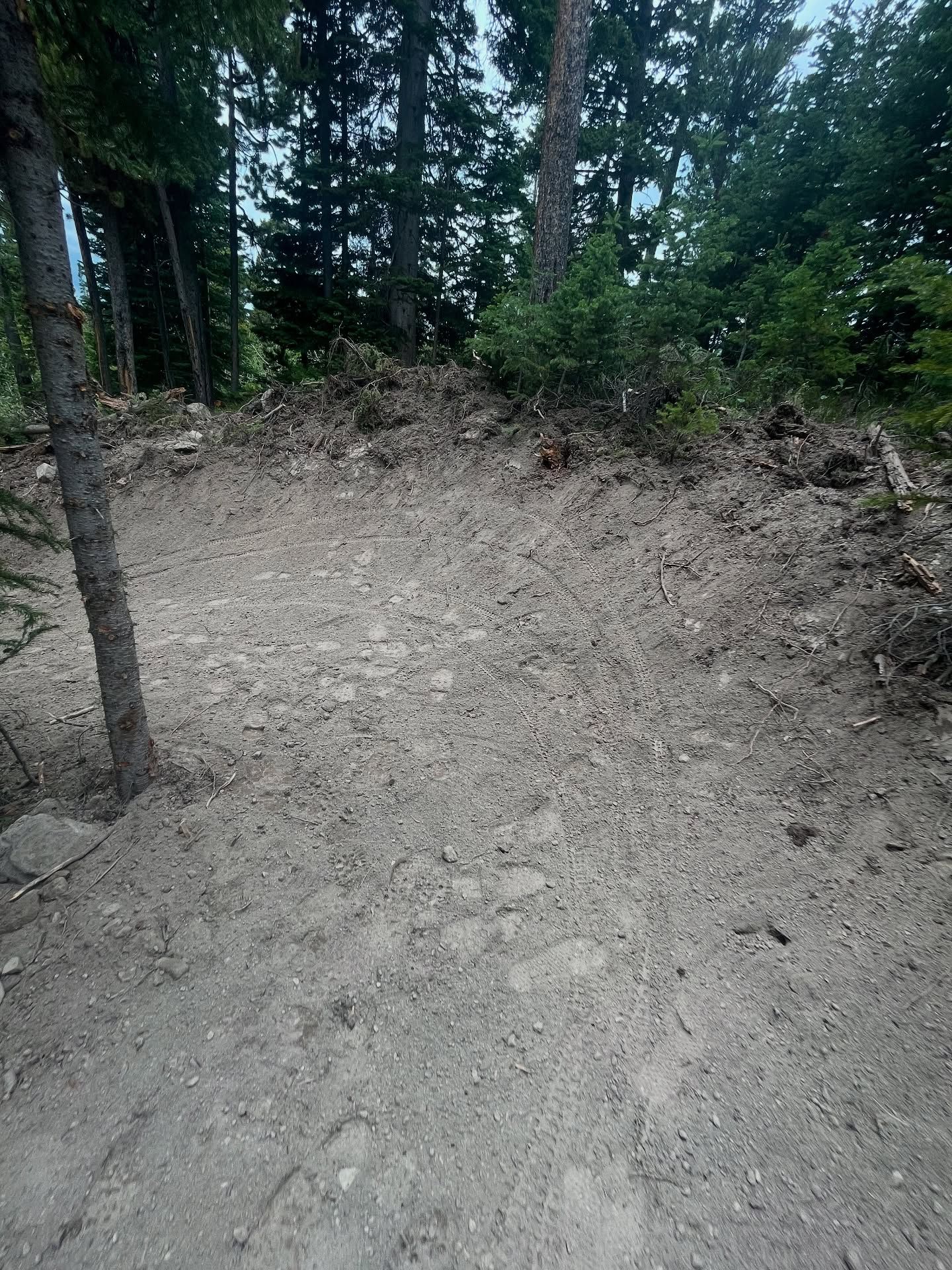 Dirt path in a wooded area with trees and bushes along the edges