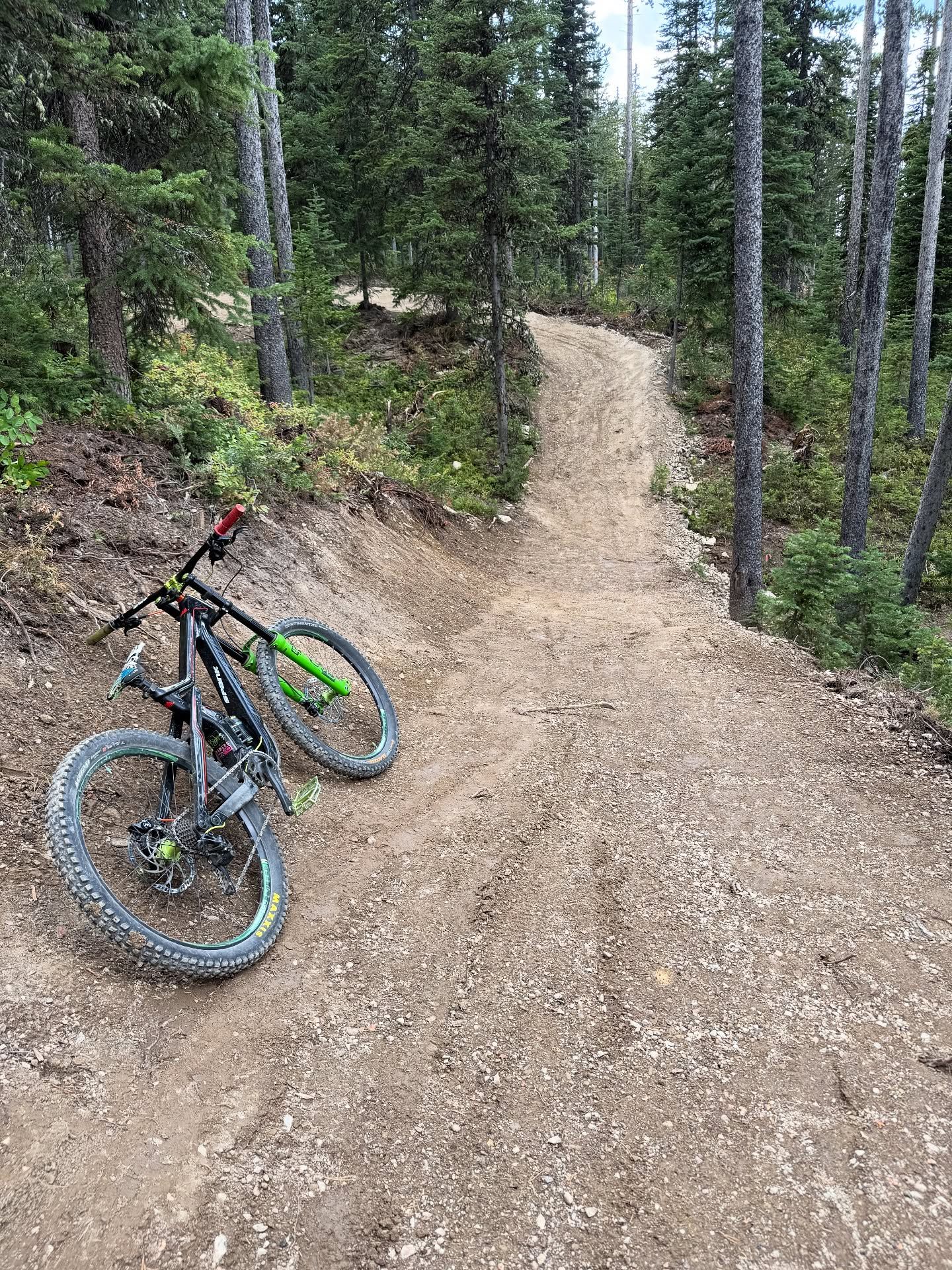 Mountain bike on a gravel trail in a forest, with trees lining the path.
