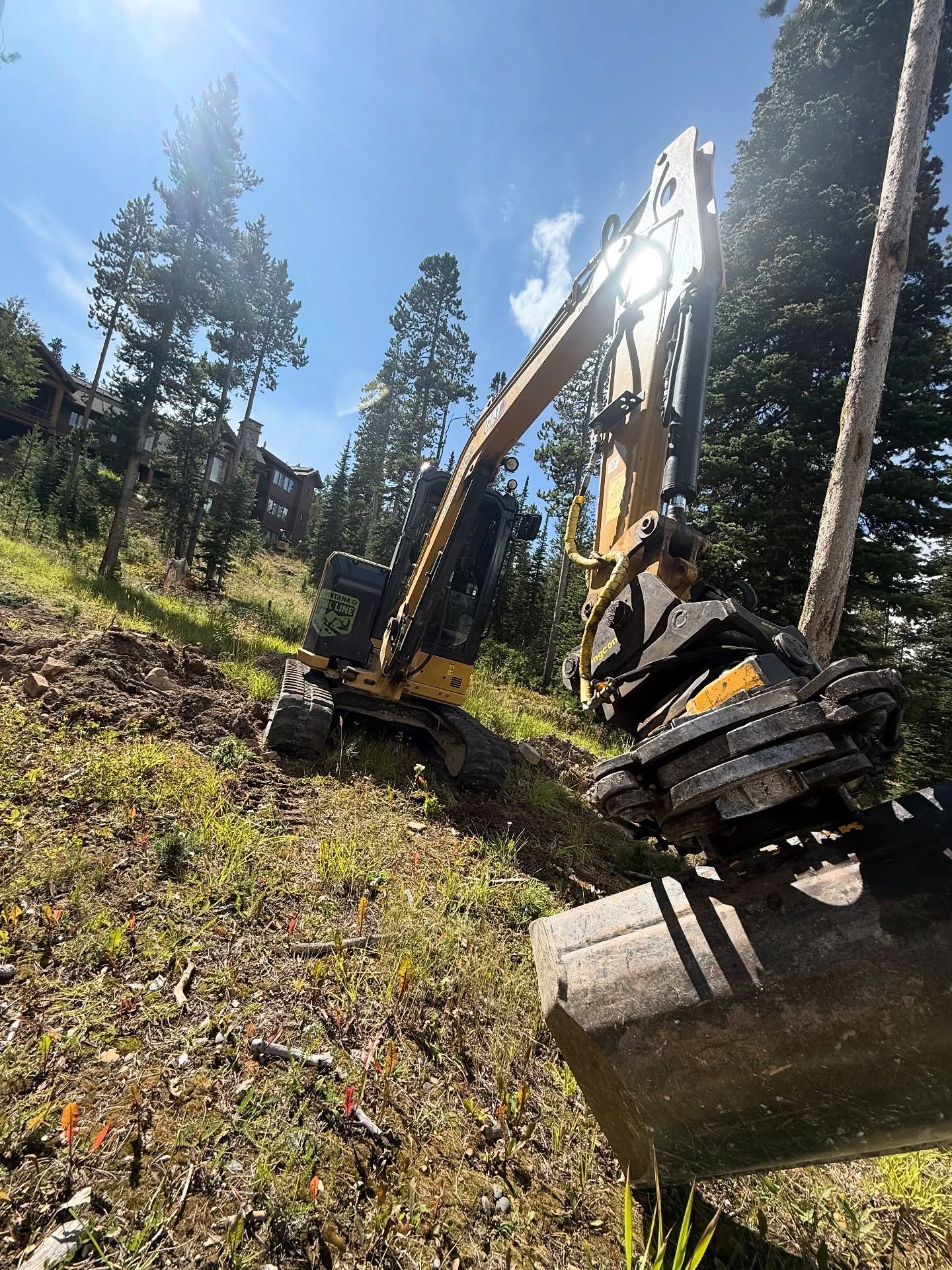 Excavator clearing a forested hillside under bright blue sky.