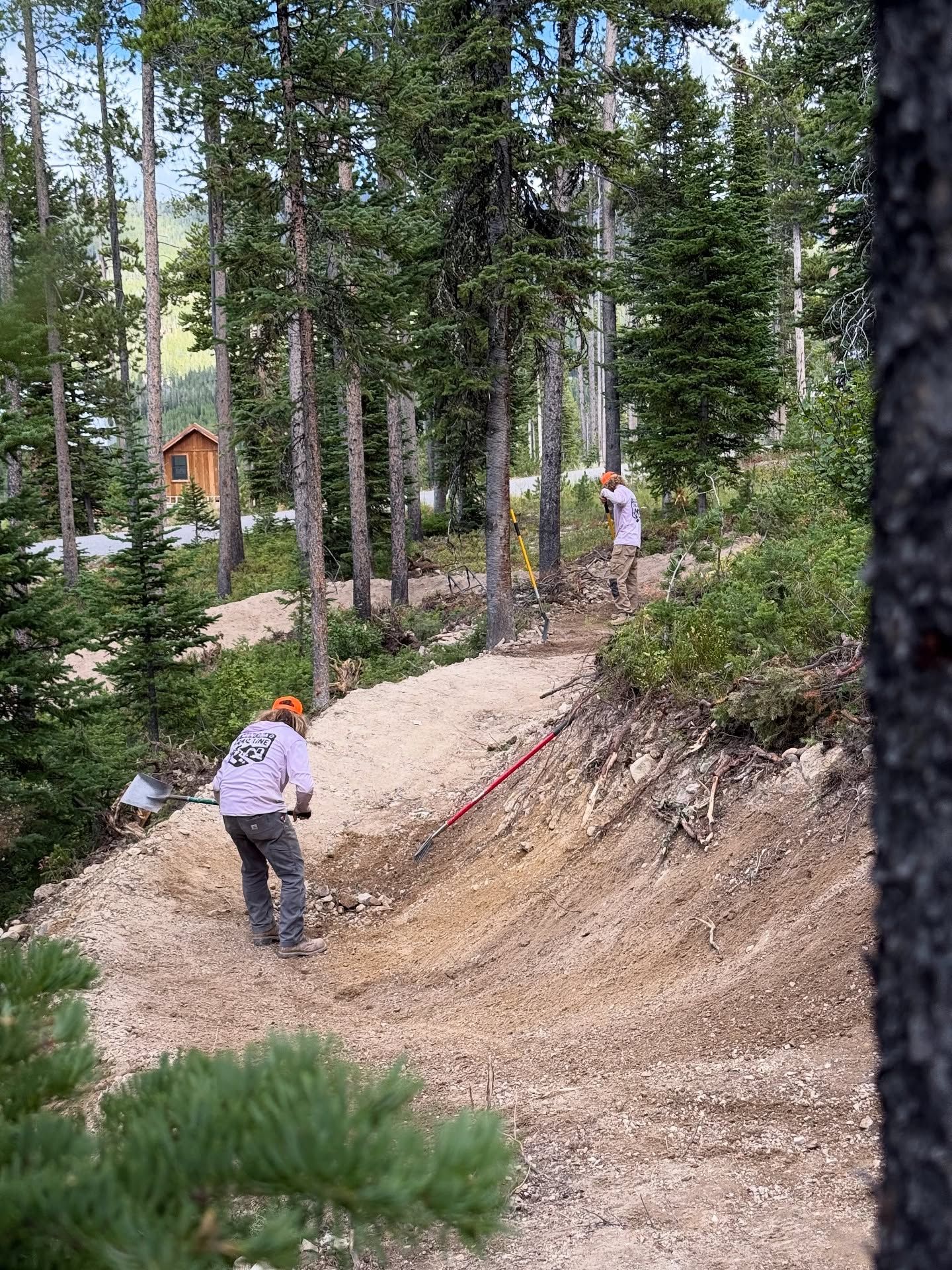 Two people walking along a dirt trail in a forest, with tall pine trees and a small cabin nearby.