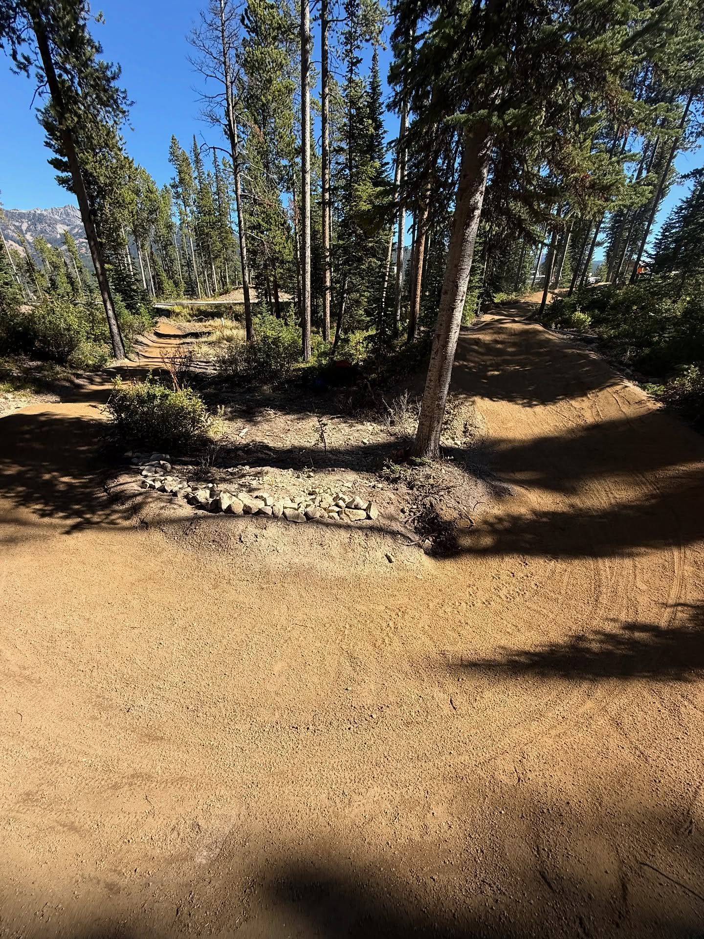 Wooded dirt trail with a shallow creek crossing under bright sunlight