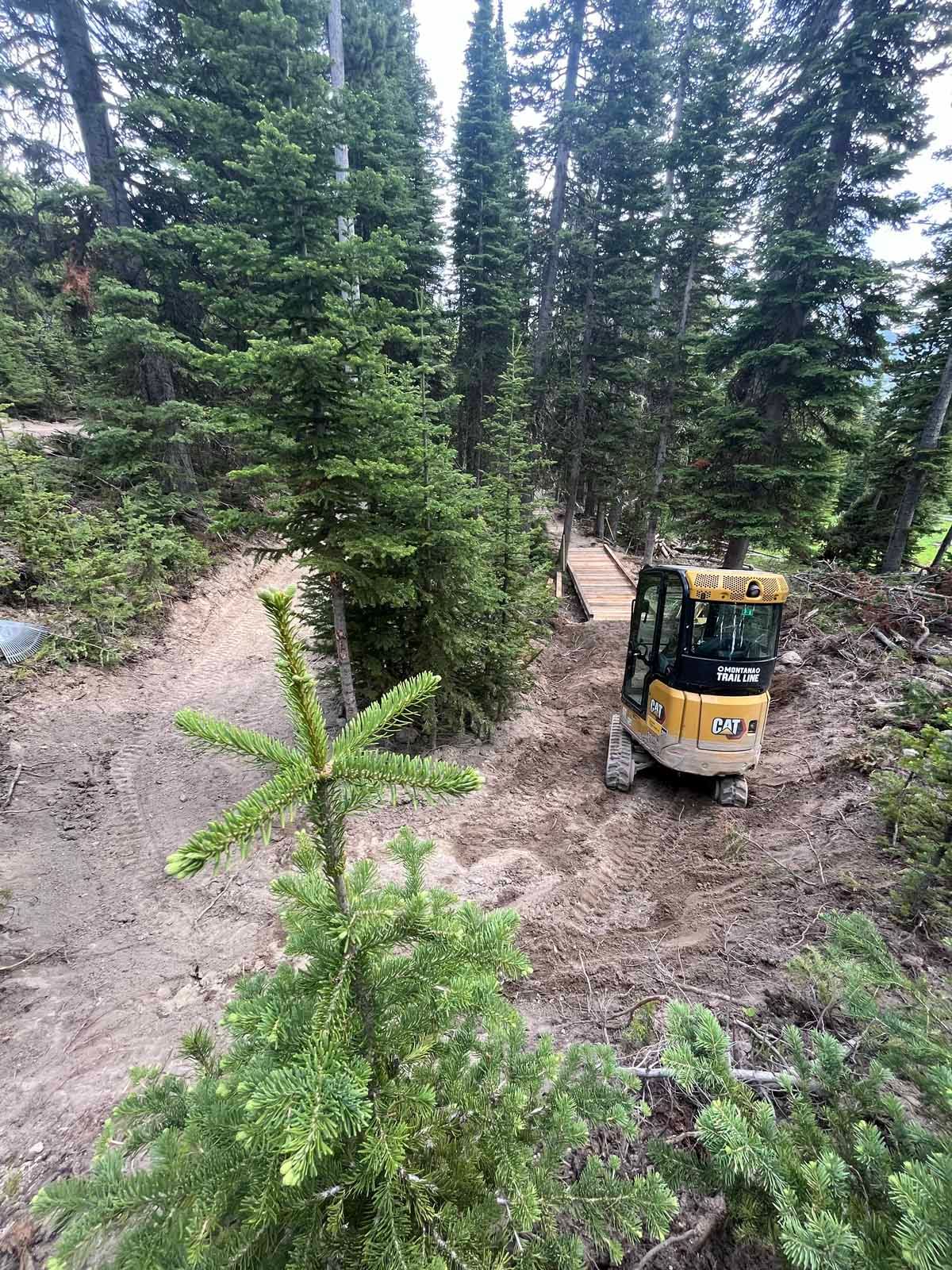 Yellow excavator on a muddy forest trail among tall evergreen trees