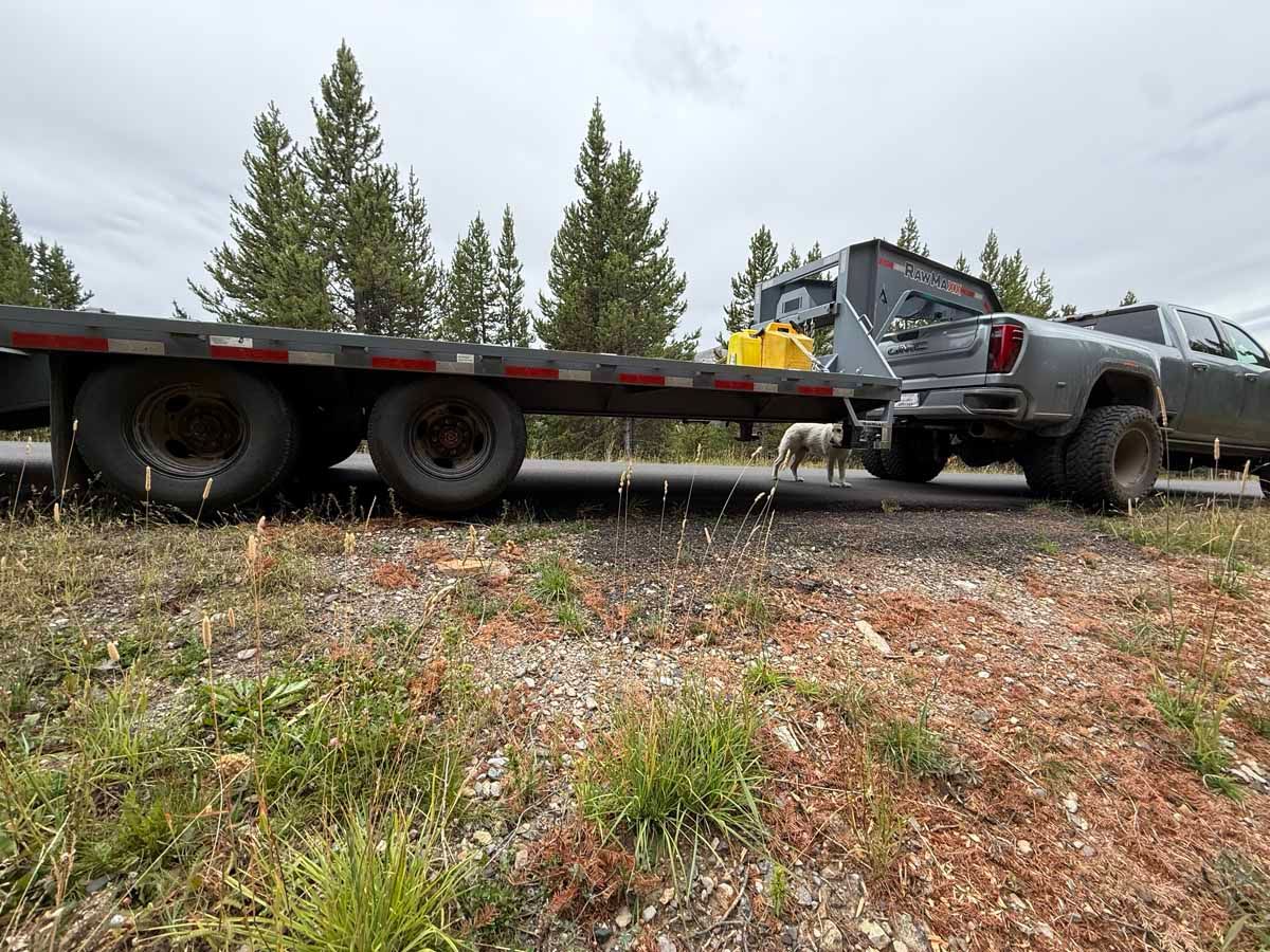 Tow truck hauling a damaged black pickup on a flatbed beside a muddy roadside