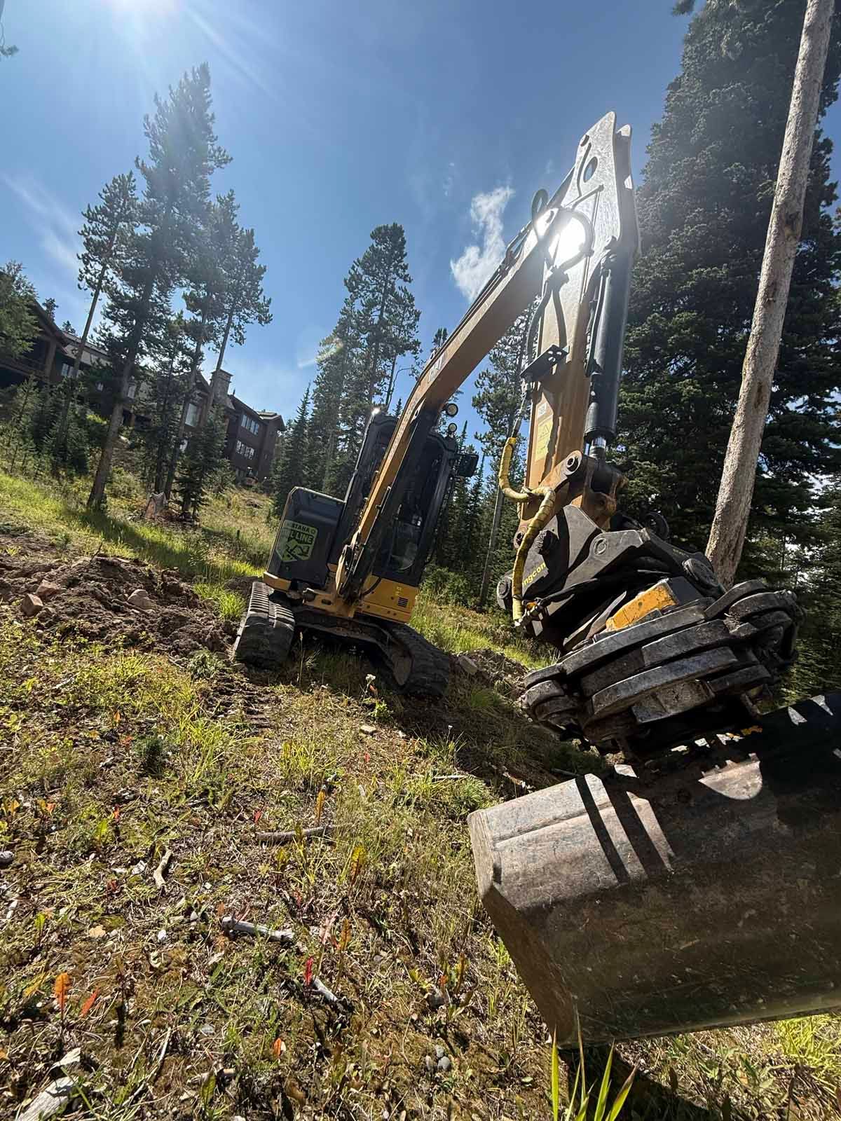 Yellow excavator in a forest clearing, scooping earth in bright sunlight.