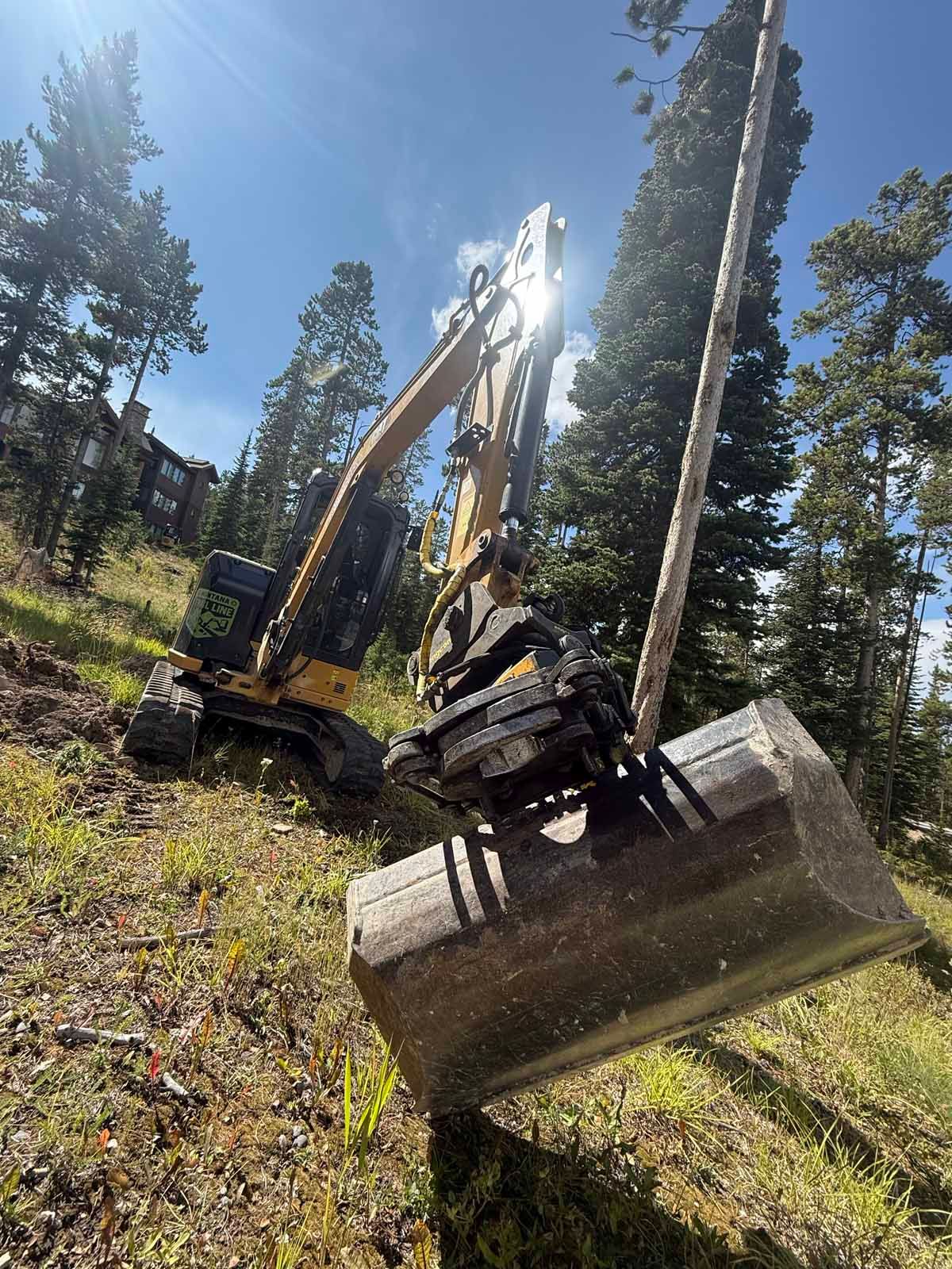 Yellow excavator with grapple bucket working among tall pine trees in a forest clearing
