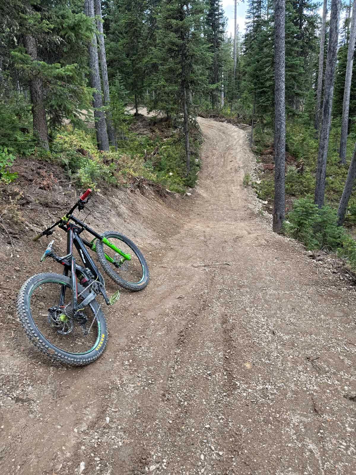 Mountain bike on a gravel trail in a forest, with a steep dirt path ahead.