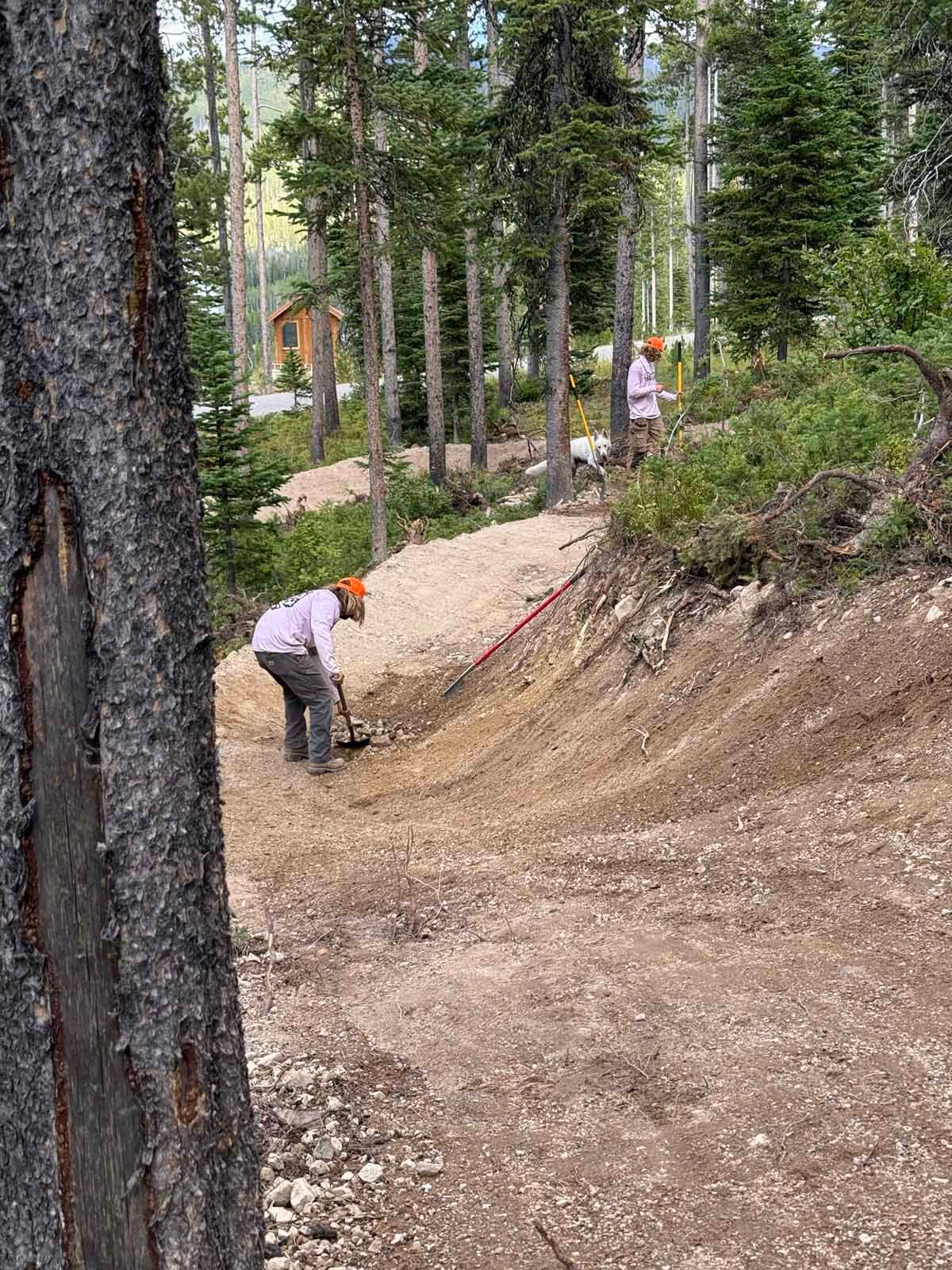 Two workers shaping a dirt trail in a wooded park.