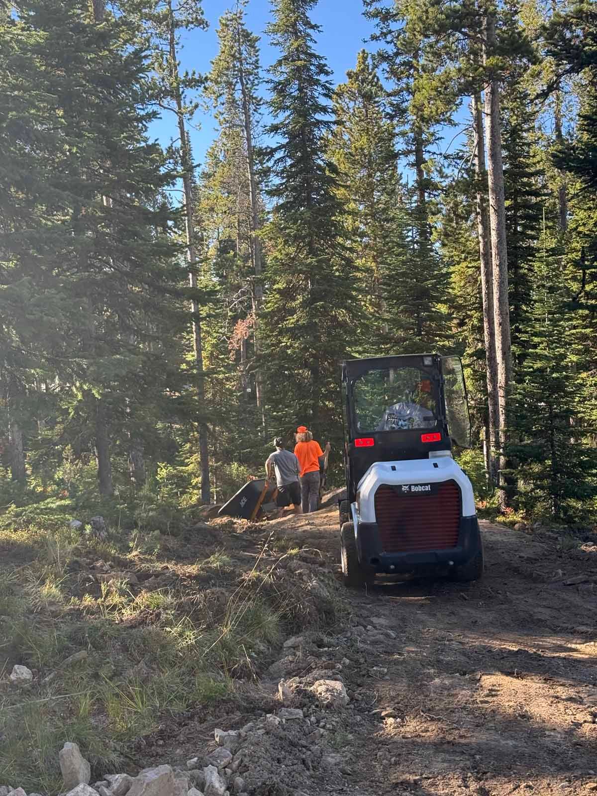 Person working beside a red skid steer on a forest trail among tall pine trees