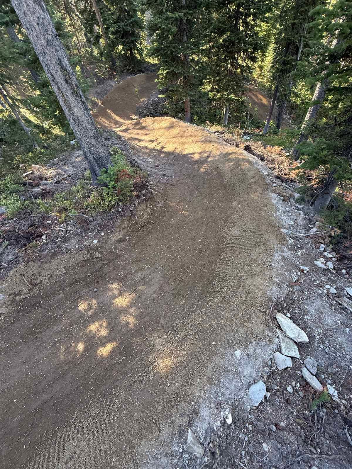 Winding dirt trail through a sunlit forest with trees and rocks on both sides