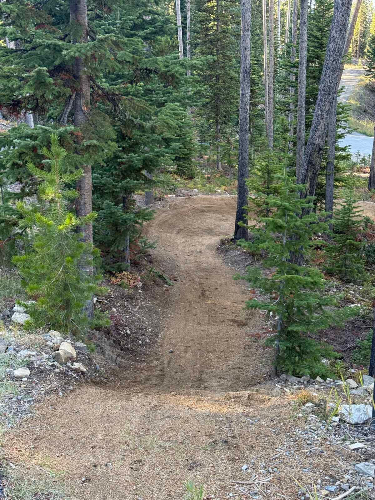 Dirt trail winding through dense green forest beside a rocky roadside edge