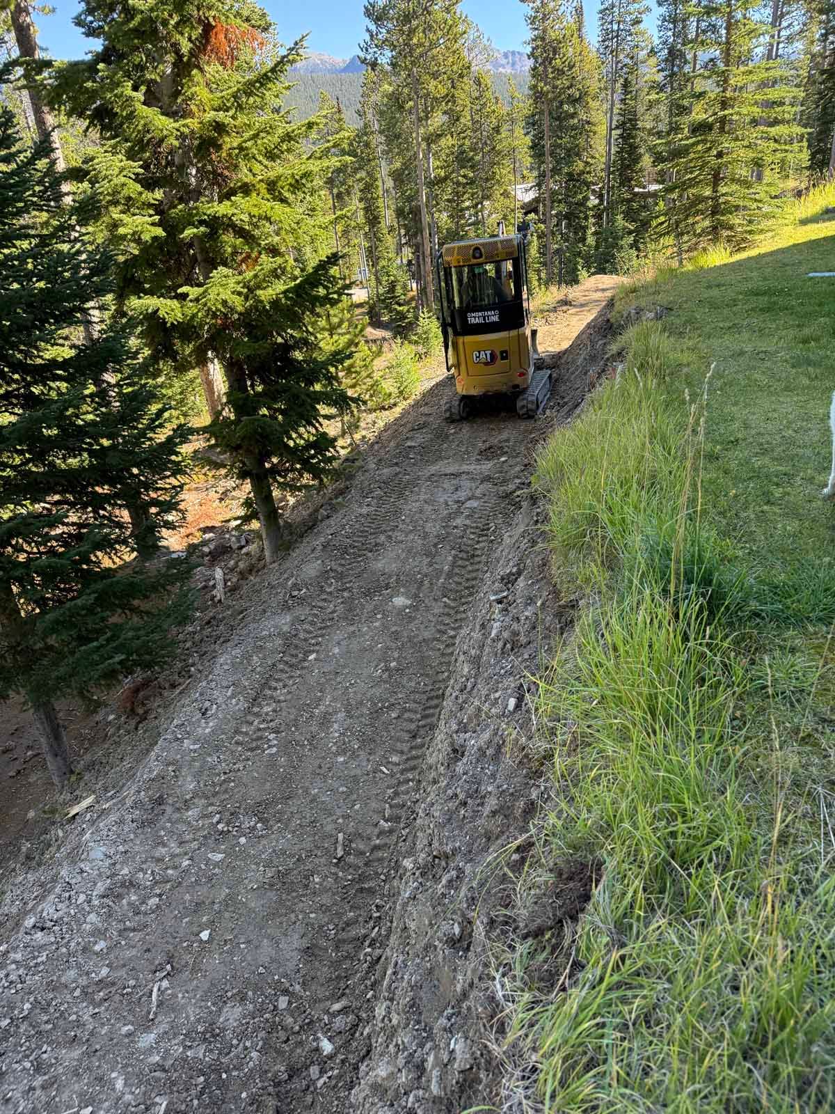 Yellow excavator on a steep dirt road in a pine forest clearing.