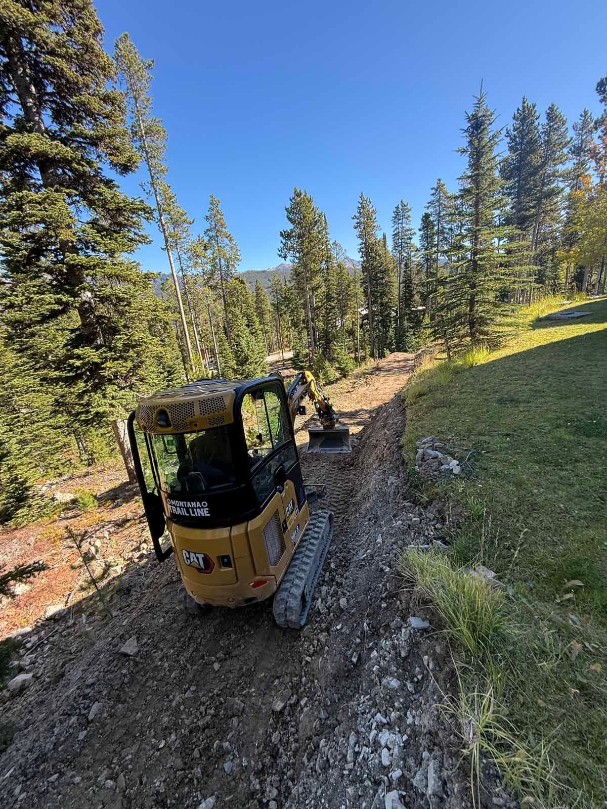 Yellow excavator on a muddy forest trail beside a grassy slope under tall pine trees.
