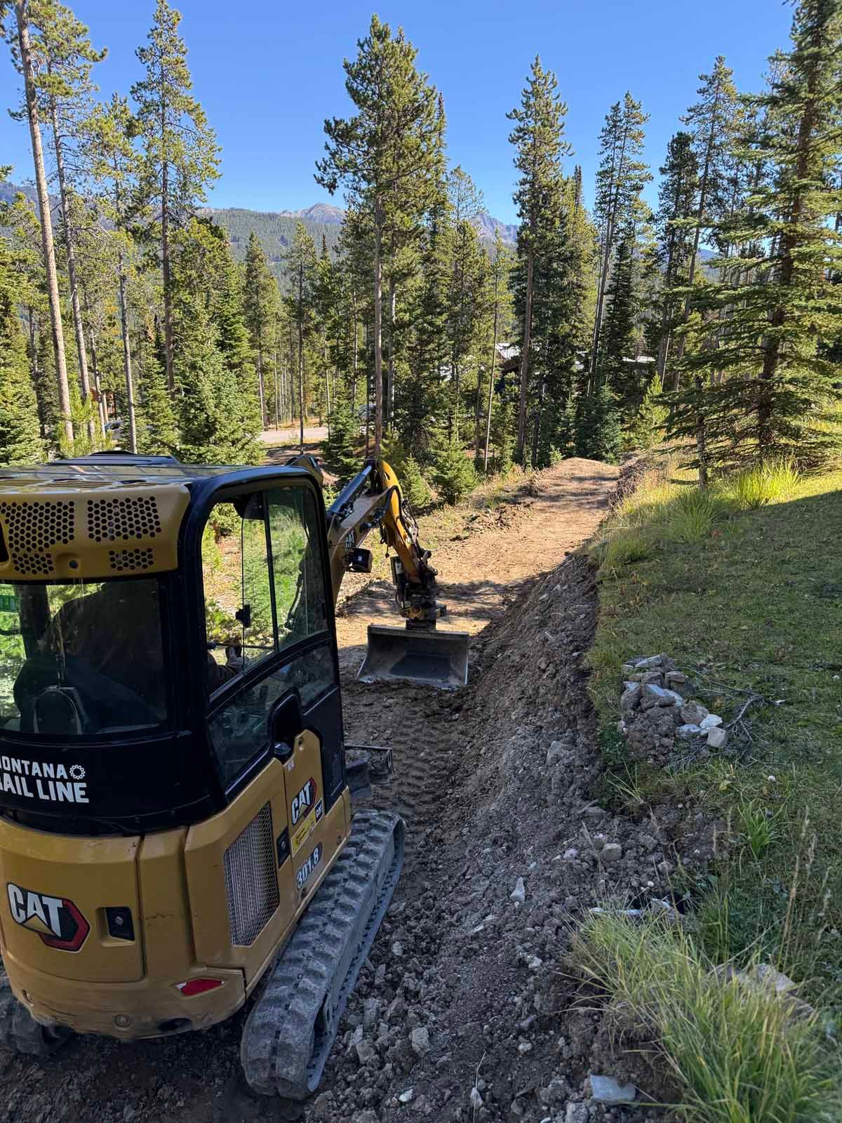 Yellow excavator on a narrow forest trail beside pine trees and a muddy track