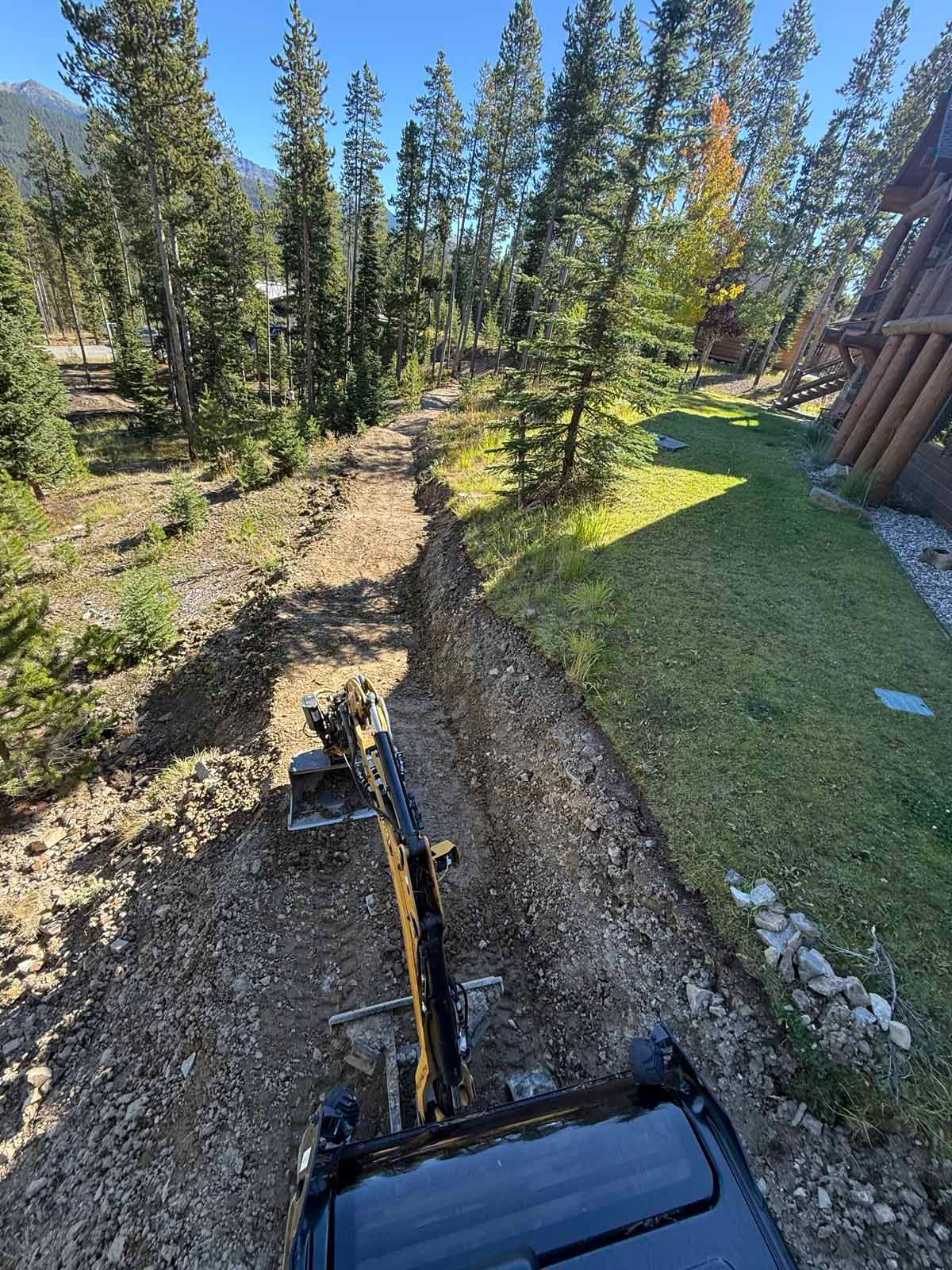 Excavator grading a dirt path beside a grassy yard with pine trees and a wooden fence.