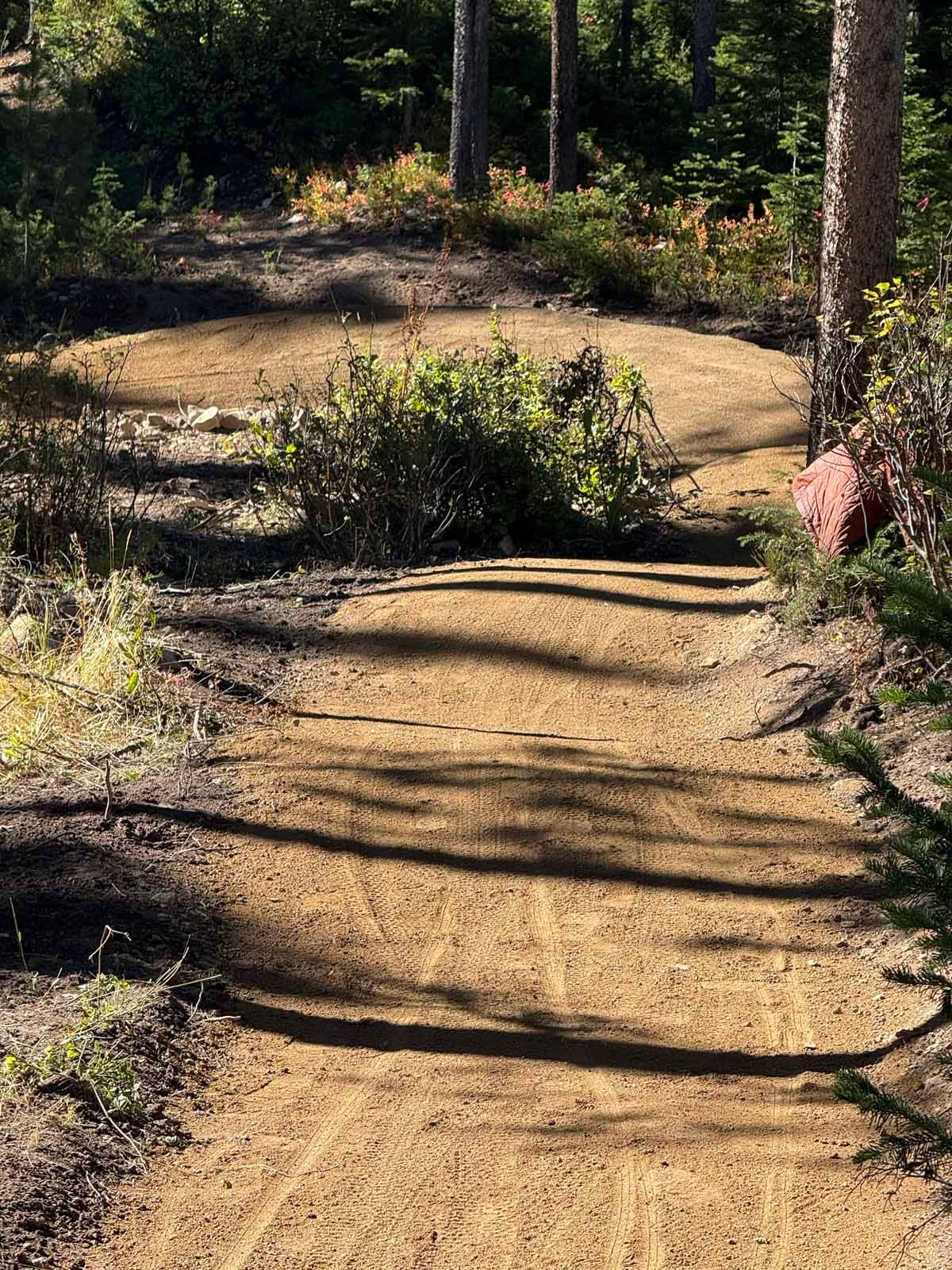 Sandy forest trail with low shrubs and long tree shadows in warm sunlight