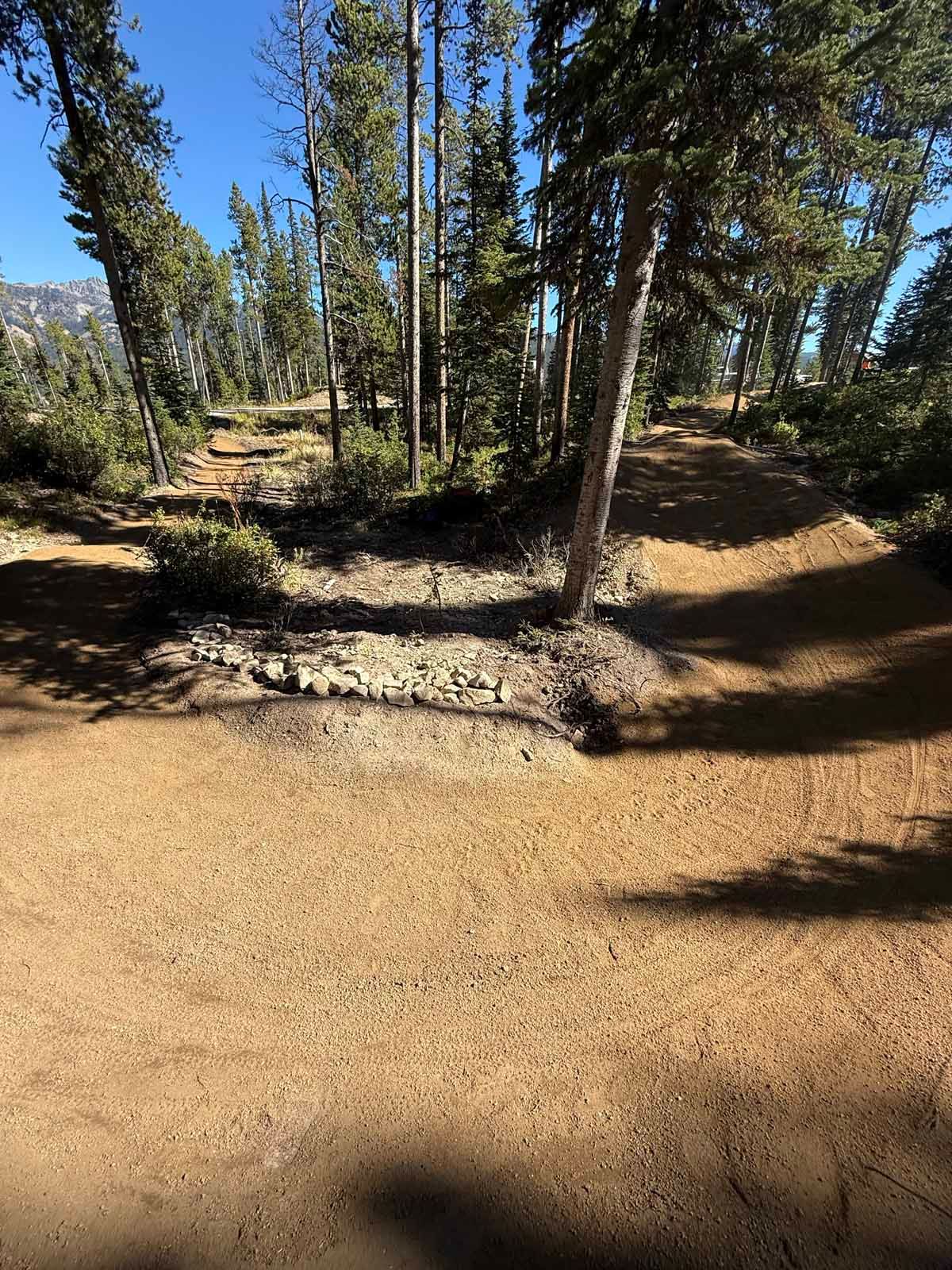 Wooded dirt trail with trees and dappled sunlight, plus a small sandy berm in the foreground