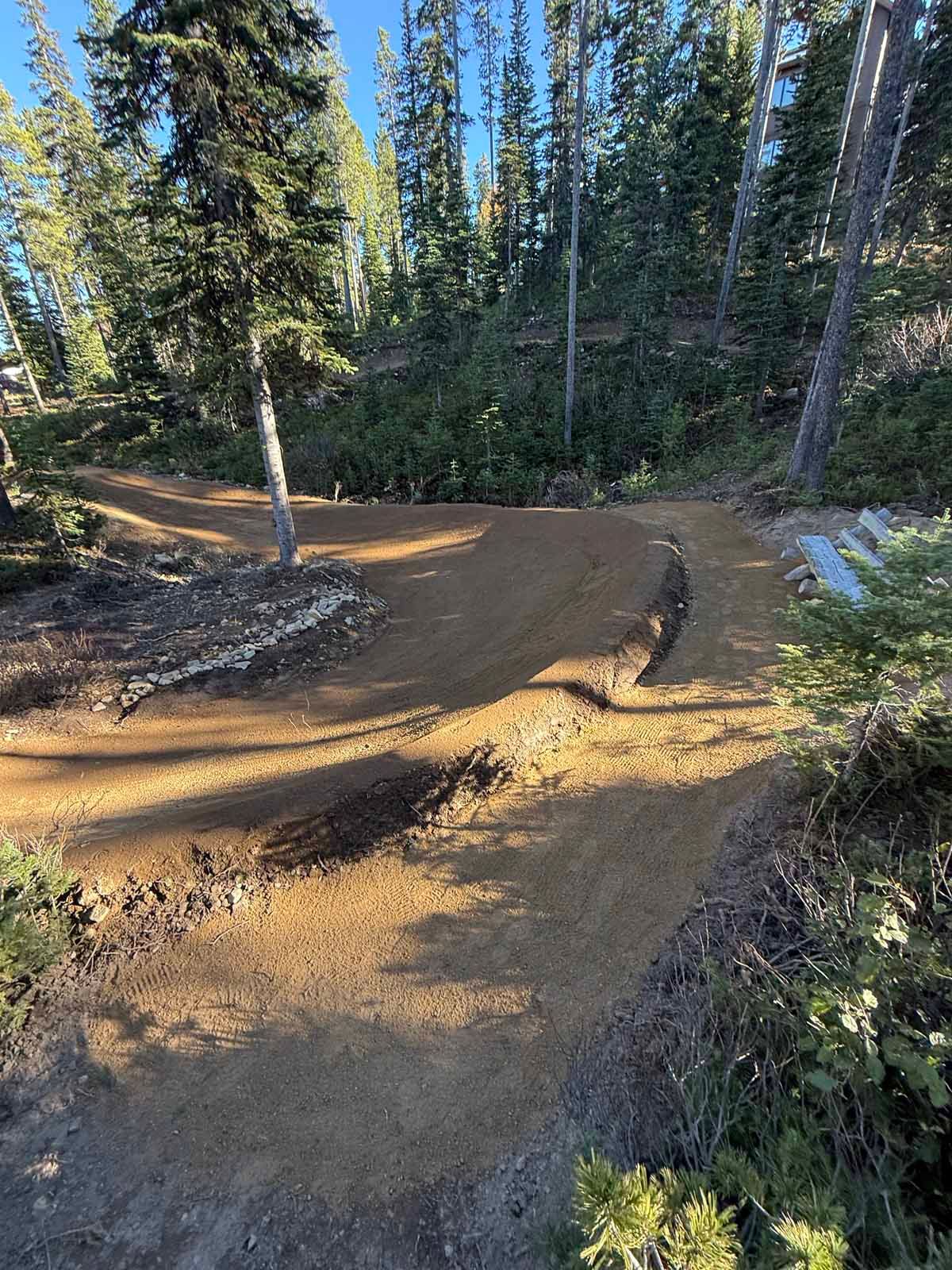 Dirt trail curve through a pine forest with warm sunlight and a small puddle in the foreground