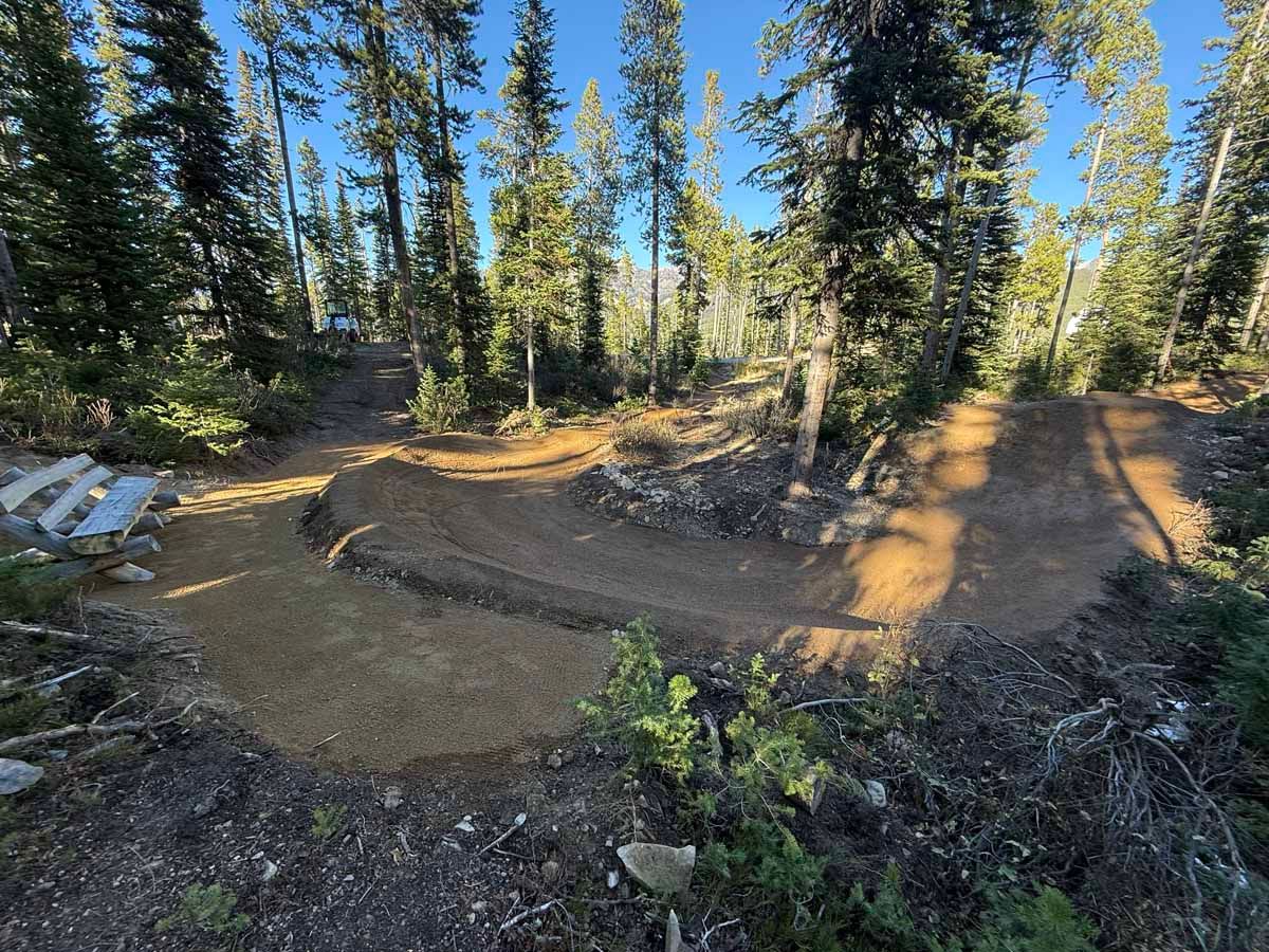 Curving dirt trail through a sunny pine forest with a small wooden bridge and benches