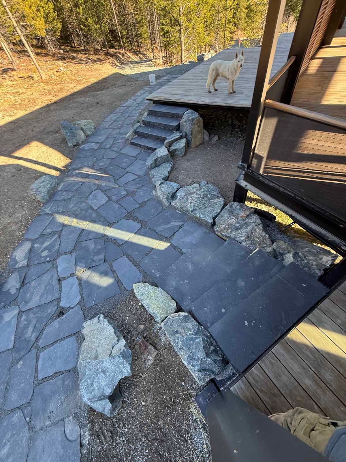 Stone walkway and deck beside a house, with broken pavers and a small dog standing on the steps.