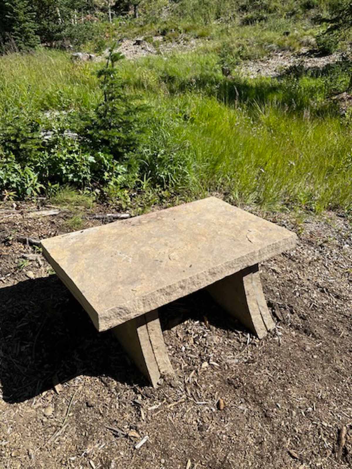 Small wooden bench on dirt beside green grass and shrubs outdoors