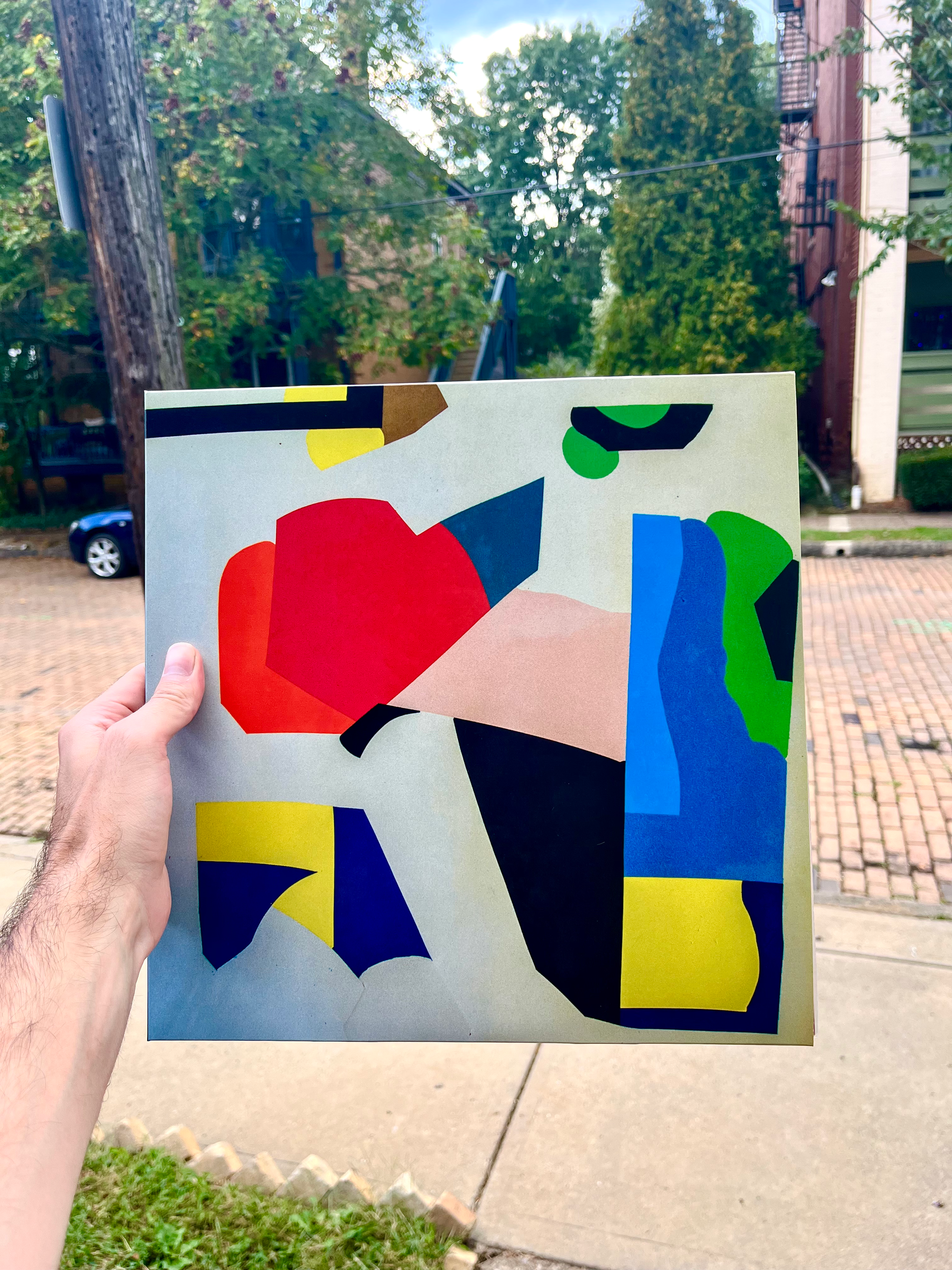 [Vinyl] Chameleon Treat - Serious Leisure Pursuit