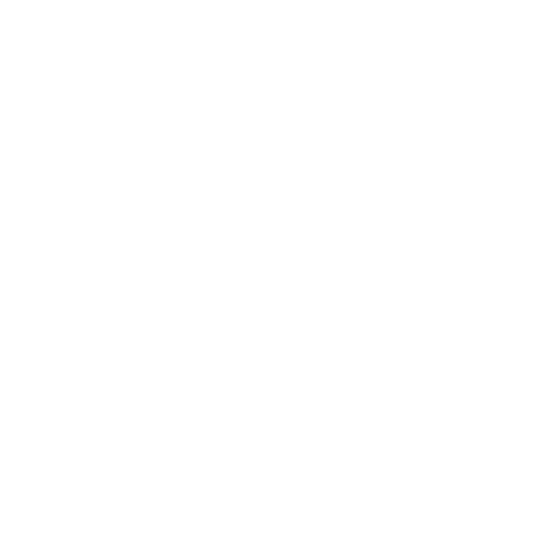 Integrity icon
