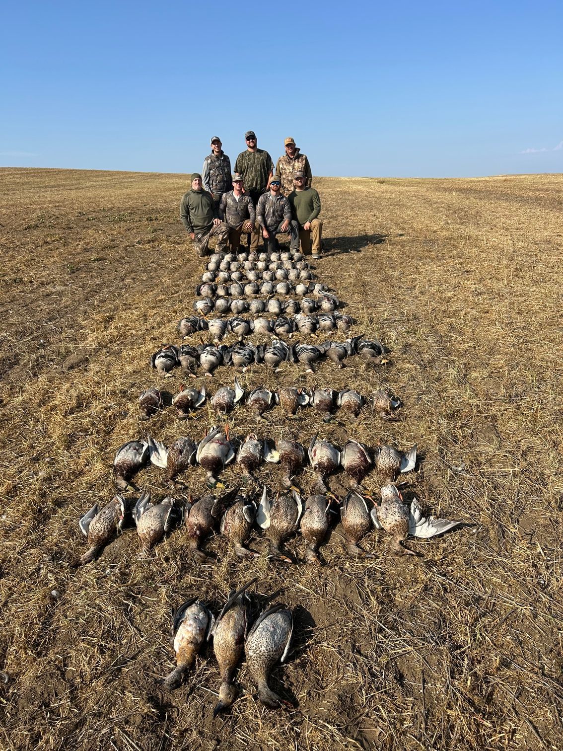 Goose Hunting in Canada with a Guide
