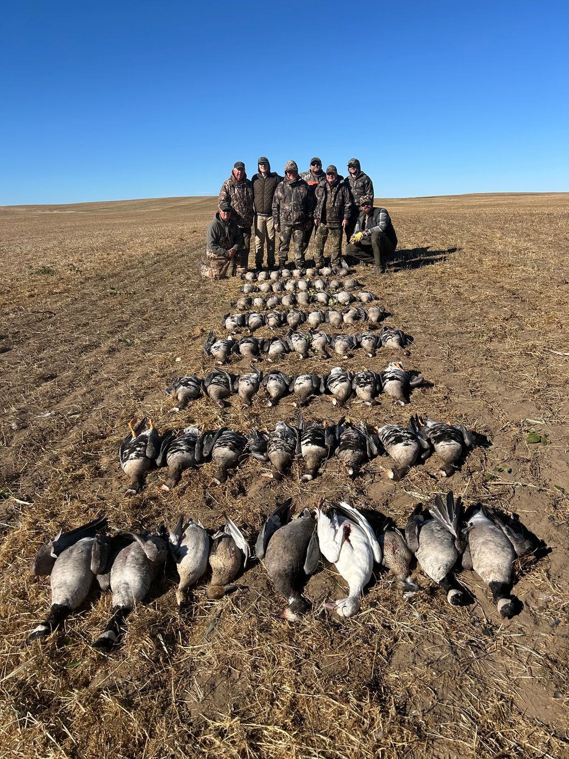 Goose Hunting Outfitter AB