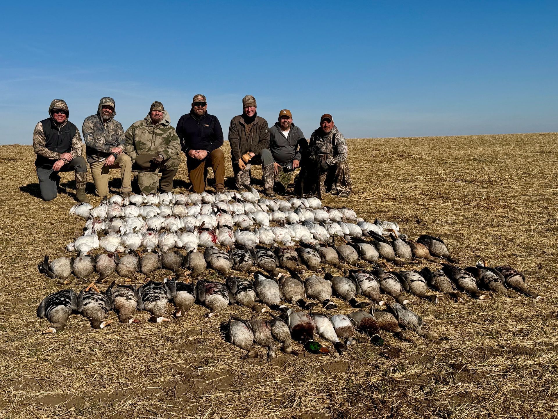 goose outfit in Canada with Lodging