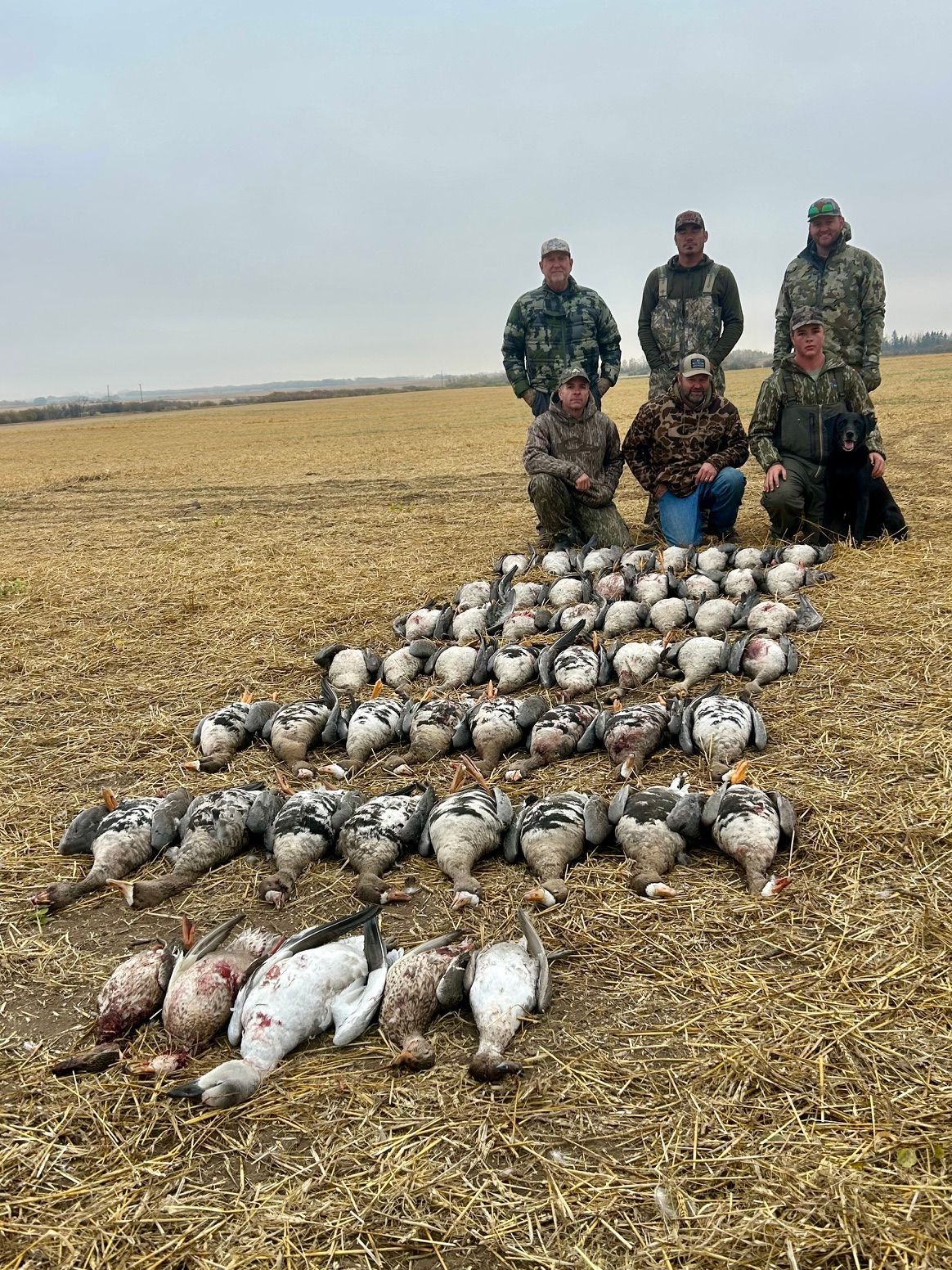 goose guide Canada