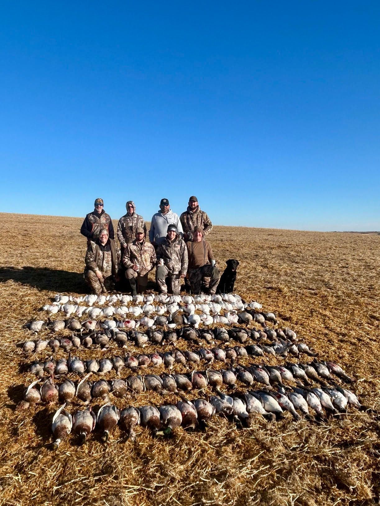 Alberta Canada Goose Hunting Guide