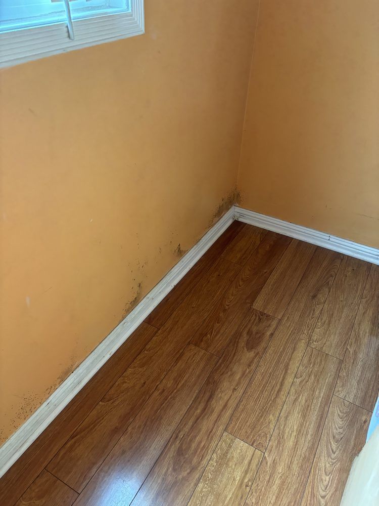 Mold growth on orange wall corner, white trim, wood-look floor, window at top left.