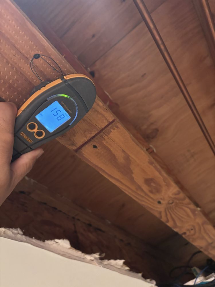 A moisture meter reading 15.8 on a wooden beam in an attic. A hand holds the device.