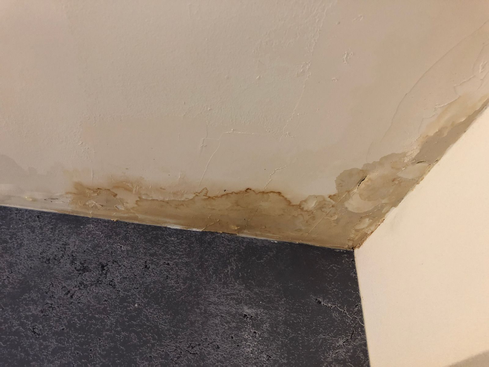 Water-damaged wall corner with peeling paint and stained plaster above dark carpet.