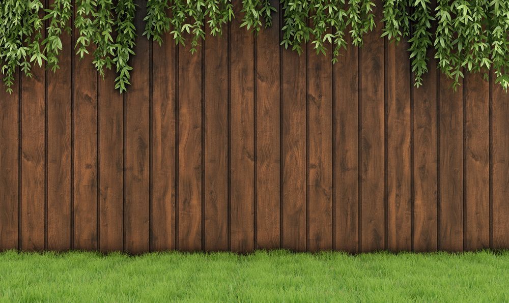 A Wooden Fence With Ivy Growing On It And A Lush Green Lawn — Everyday Maintenance Pty Ltd In Beaconsfield, QLD